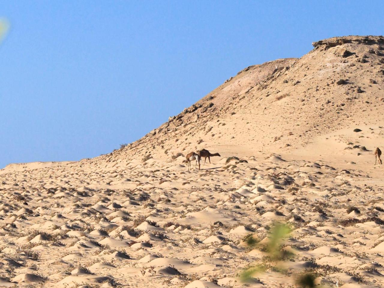 Dakhla Kitesurf World Ξενοδοχείο Εξωτερικό φωτογραφία